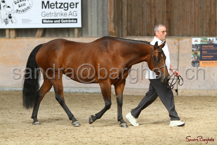 24-ApHC HIH_025.jpg